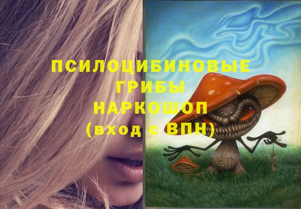 ECSTASY Краснослободск