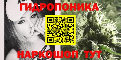 spice Лесосибирск