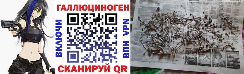 Псилоцибиновые грибы мухоморы  Котлас 